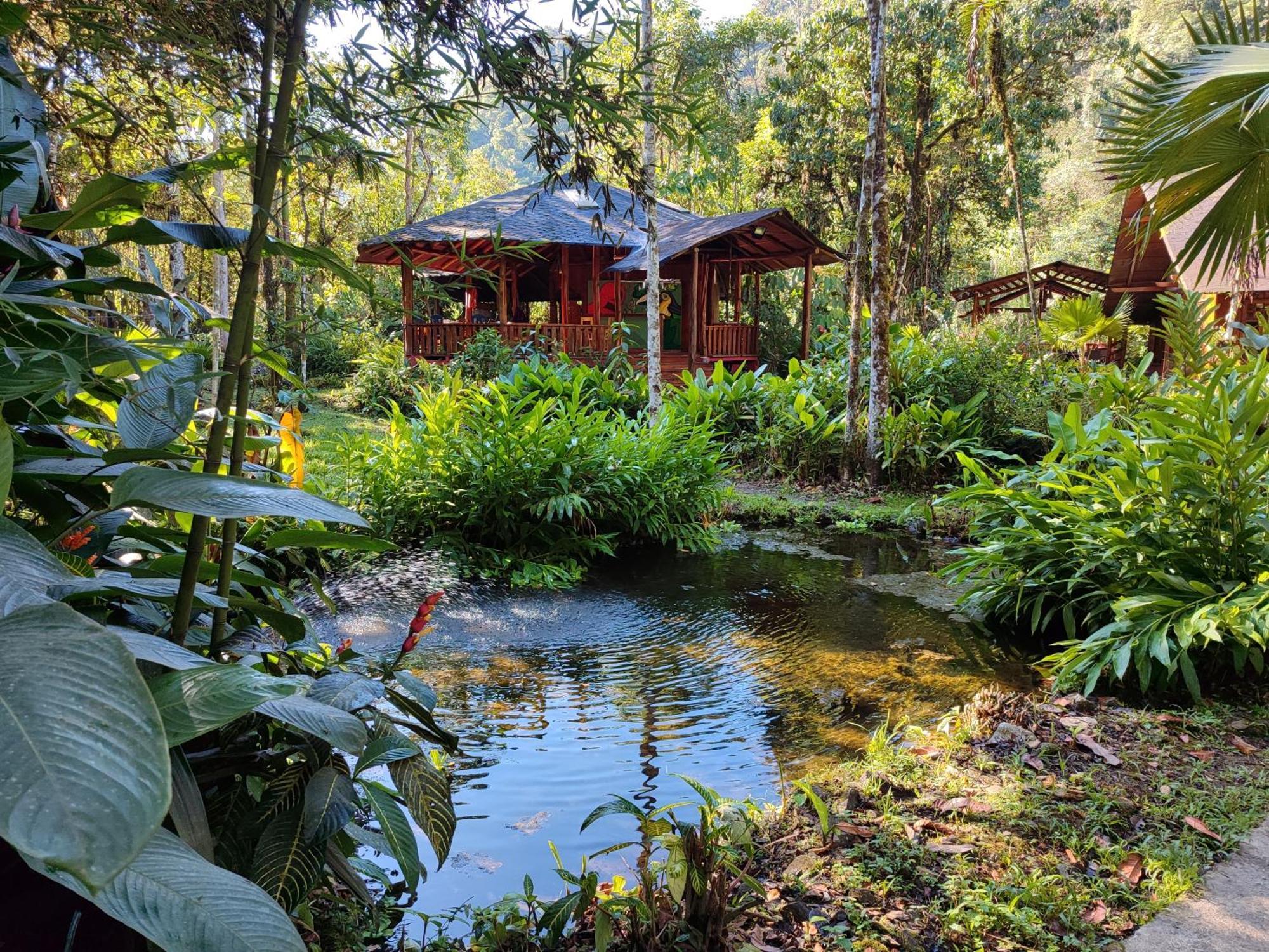 Mindo Garden Hotel Kültér fotó